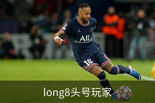 long8头号玩家公司简介